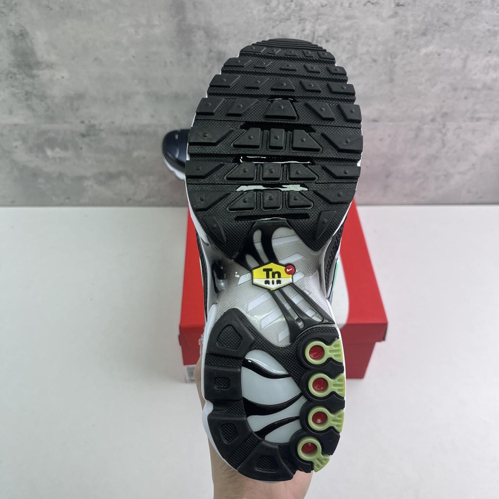 Nike Air Max Plus Tn