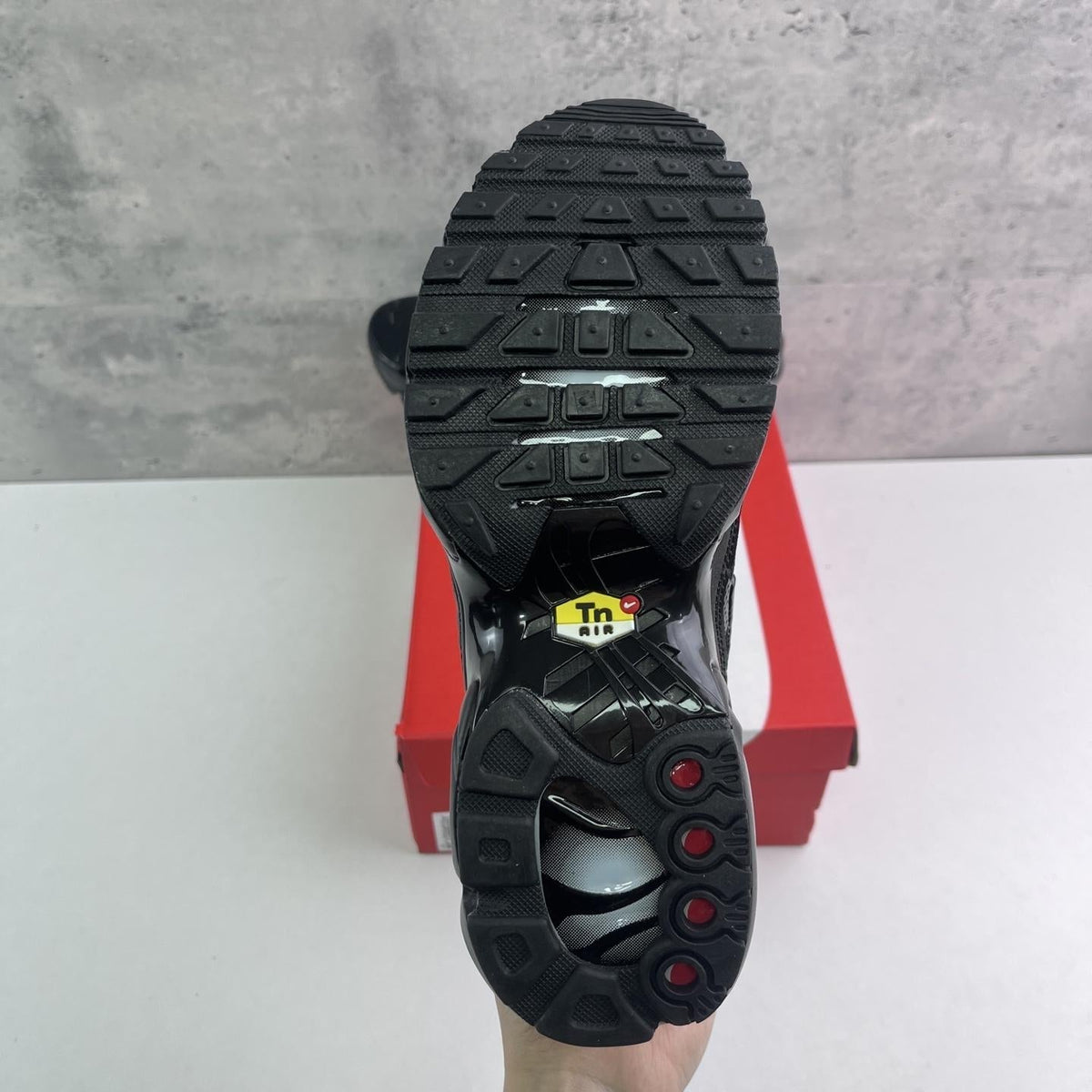 Nike Air Max Plus Tn